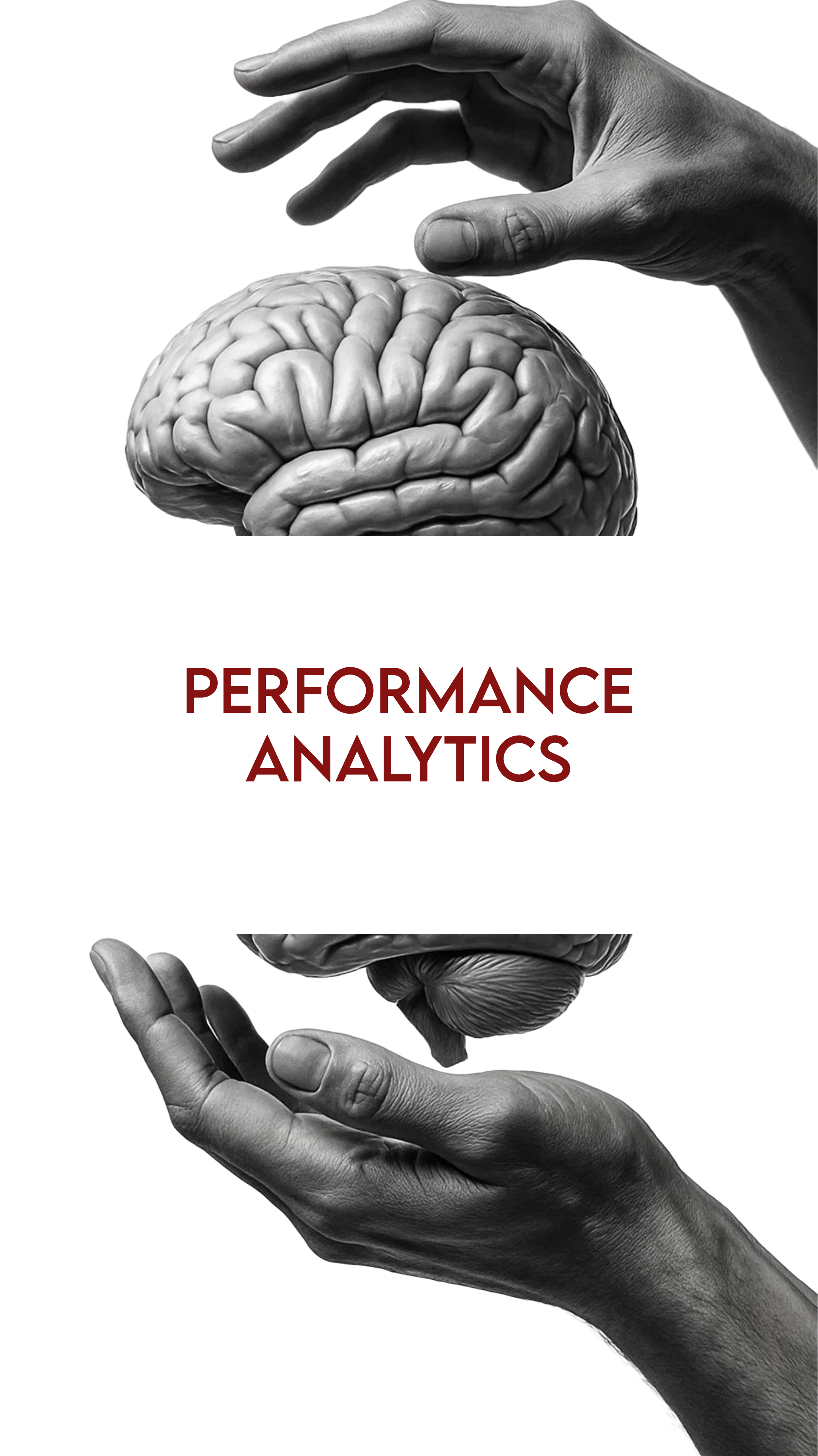 Performance Analytics